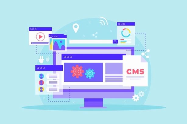 CMS Development